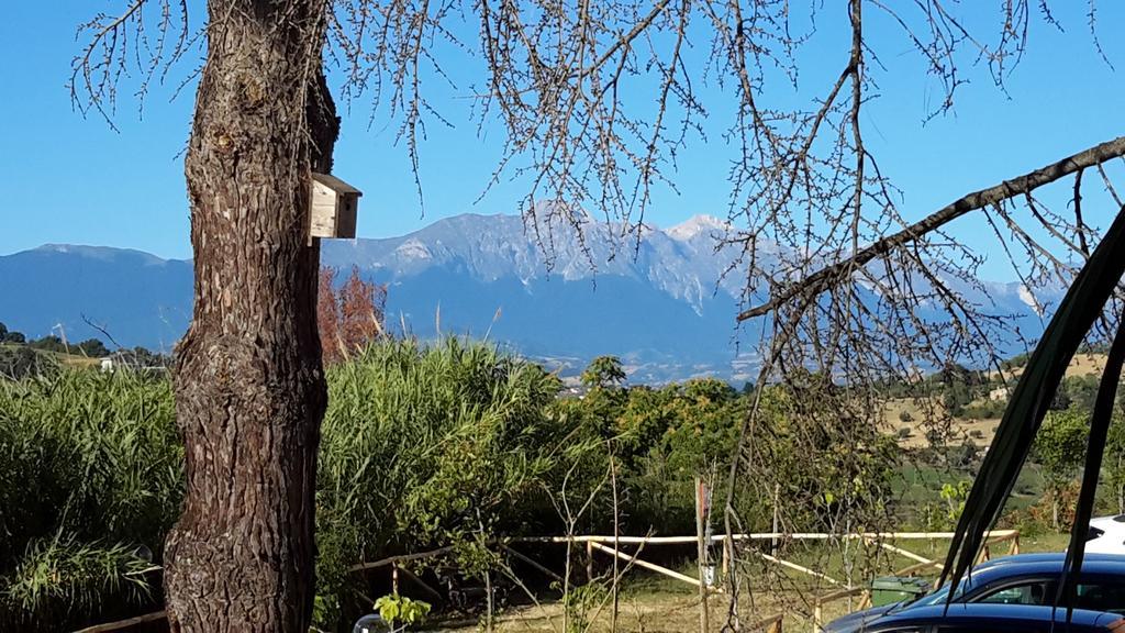 B&B L'Albero Di Antonia Atri Exterior foto