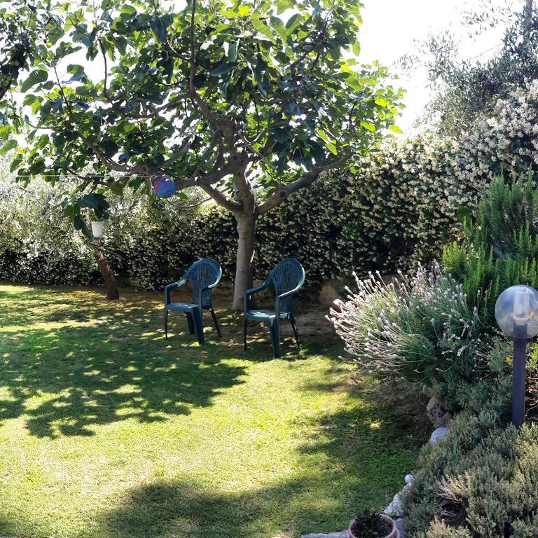 B&B L'Albero Di Antonia Atri Exterior foto
